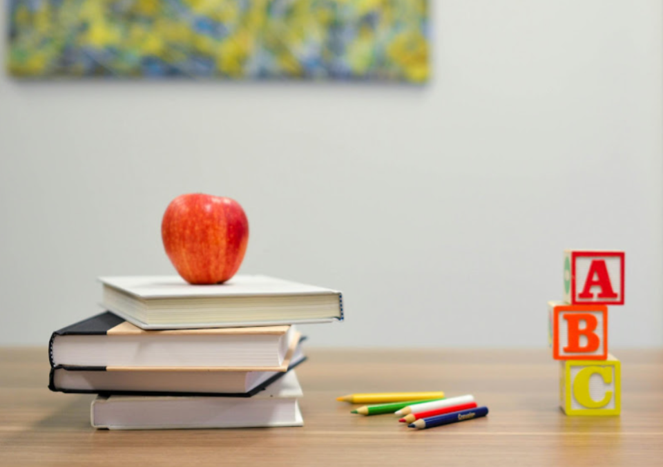 early childhood development degree early childhood development degree