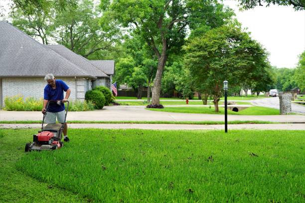 Lawn care companies near me Lawn care companies near me